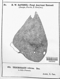 Image Associated With the Occurence